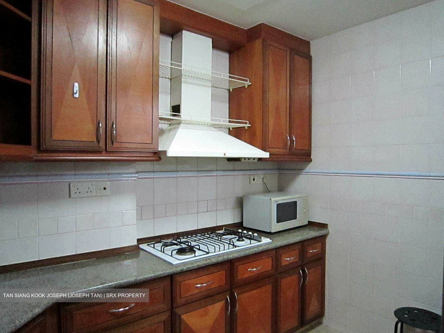 Dover Parkview (D5), Condominium #624578241